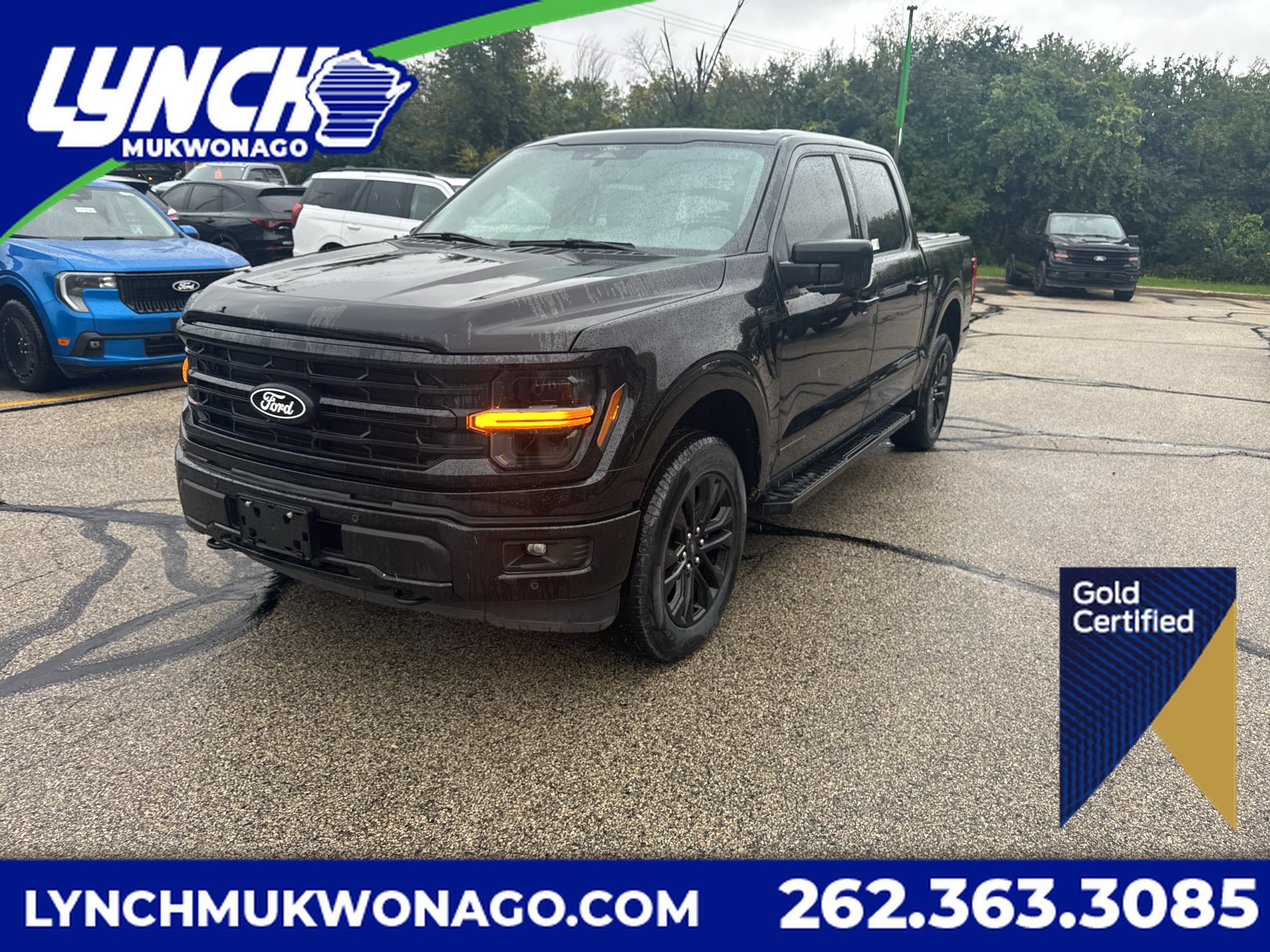 Certified 2024 Ford F150 XLT w/ Equipment Group 303A High