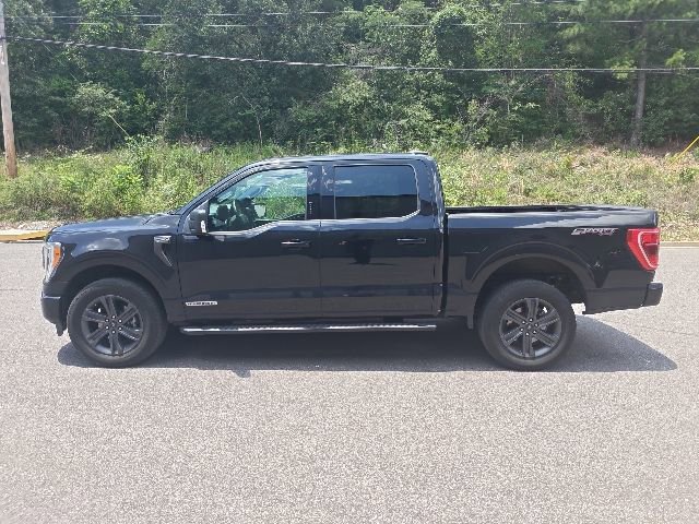 Certified 2023 Ford F150 XLT w/ Equipment Group 302A High AWD/4WD image 5