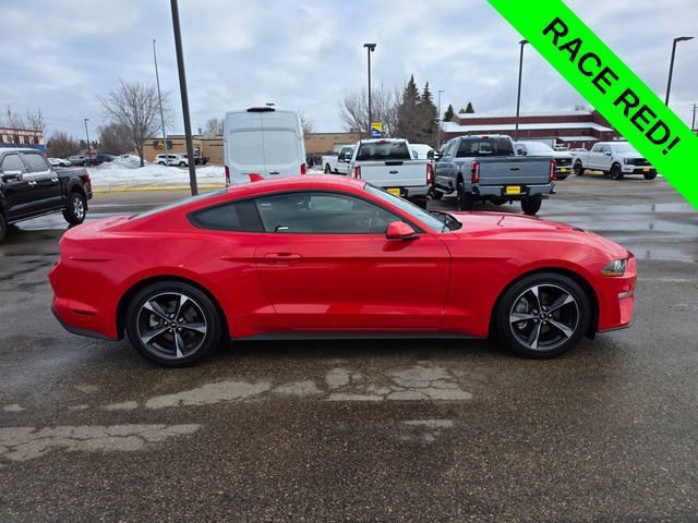 Certified 2022 Ford Mustang Coupe w/ Equipment Group 101A image 5