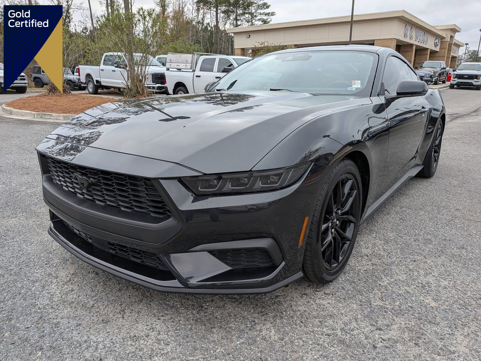 Certified 2024 Ford Mustang Premium image 1