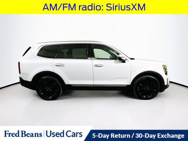 Used 2021 Kia Telluride SX w/ SX Prestige Package image 6
