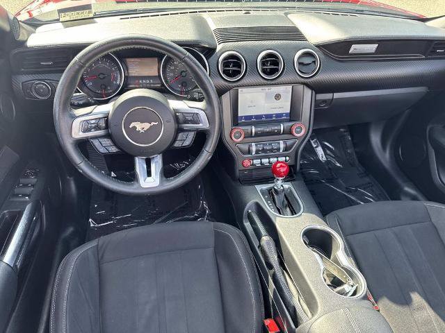 Certified 2022 Ford Mustang EcoBoost w/ Equipment Group 101A image 11