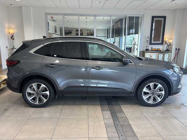 Certified 2025 Ford Escape Platinum image 6