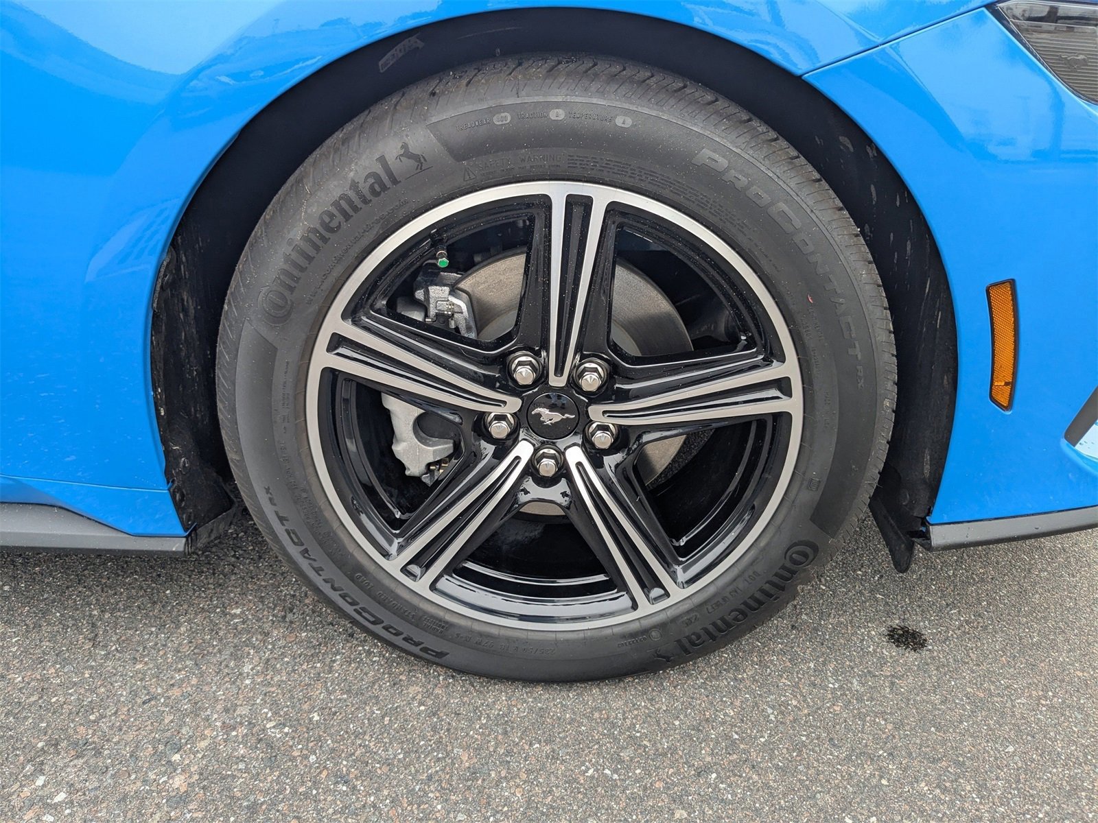 Certified 2025 Ford Mustang Premium image 11