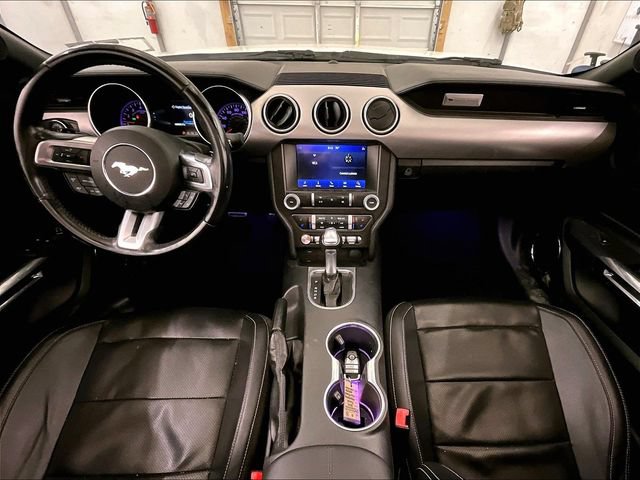 Certified 2021 Ford Mustang Premium RWD image 14
