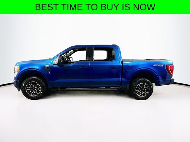 Certified 2022 Ford F150 XLT w/ Equipment Group 301A Mid image 4