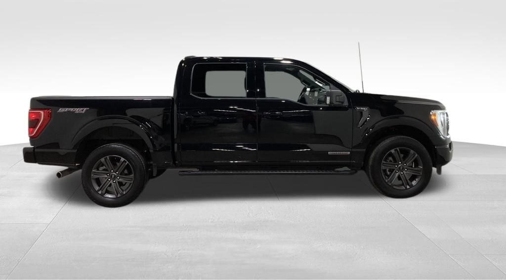 Certified 2023 Ford F150 XLT w/ Equipment Group 302A High image 2