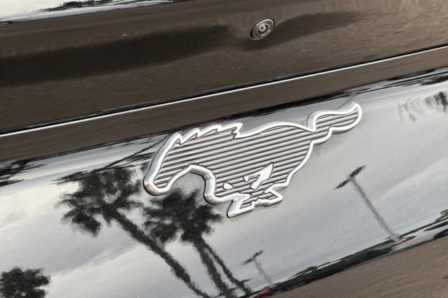 Certified 2024 Ford Mustang Mach-E Select image 30