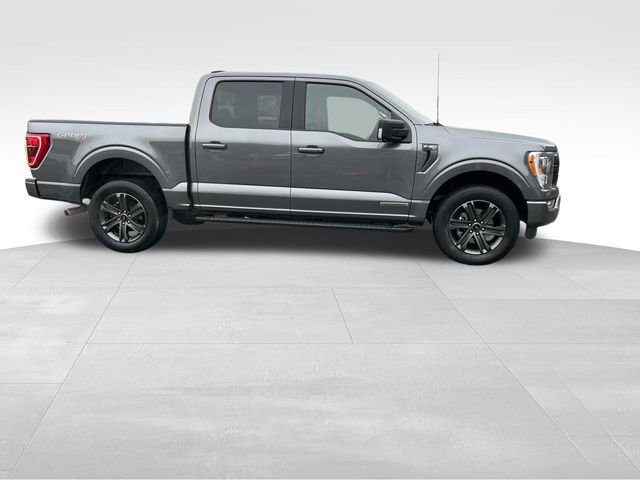 Certified 2023 Ford F150 XLT w/ Equipment Group 302A High image 2