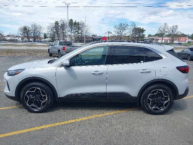 Certified 2025 Ford Escape Platinum w/ Class II Trailer Tow Package AWD/4WD image 5