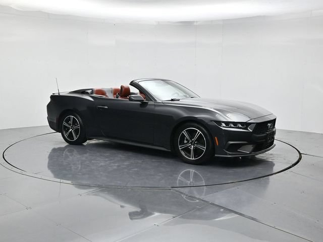 Certified 2024 Ford Mustang Premium RWD image 3