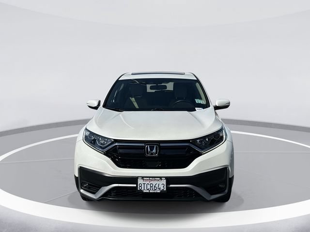 Used 2020 Honda CR-V EX-L image 2