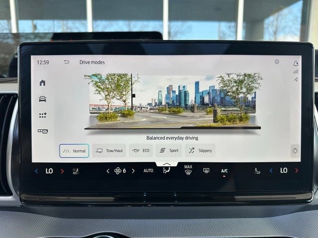 Certified 2025 Ford Expedition Active image 22