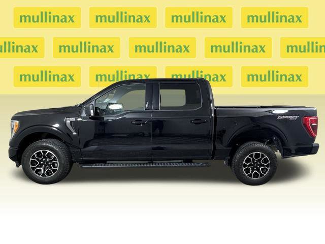 Certified 2023 Ford F150 XLT w/ Equipment Group 302A High image 2