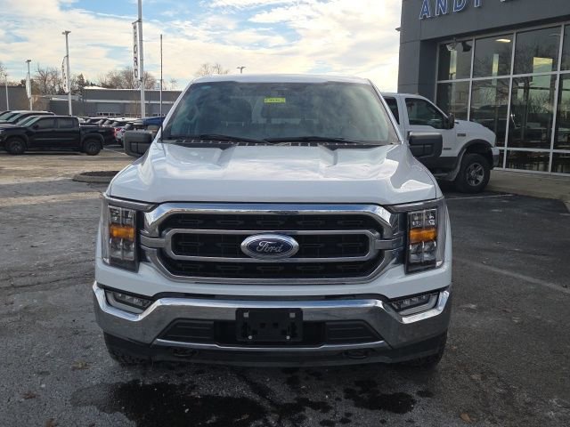 Certified 2023 Ford F150 XLT w/ Equipment Group 302A High image 5