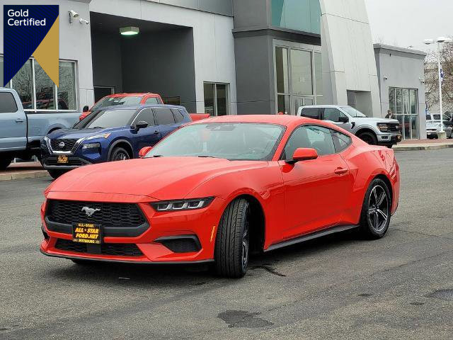 Certified 2024 Ford Mustang Premium image 1