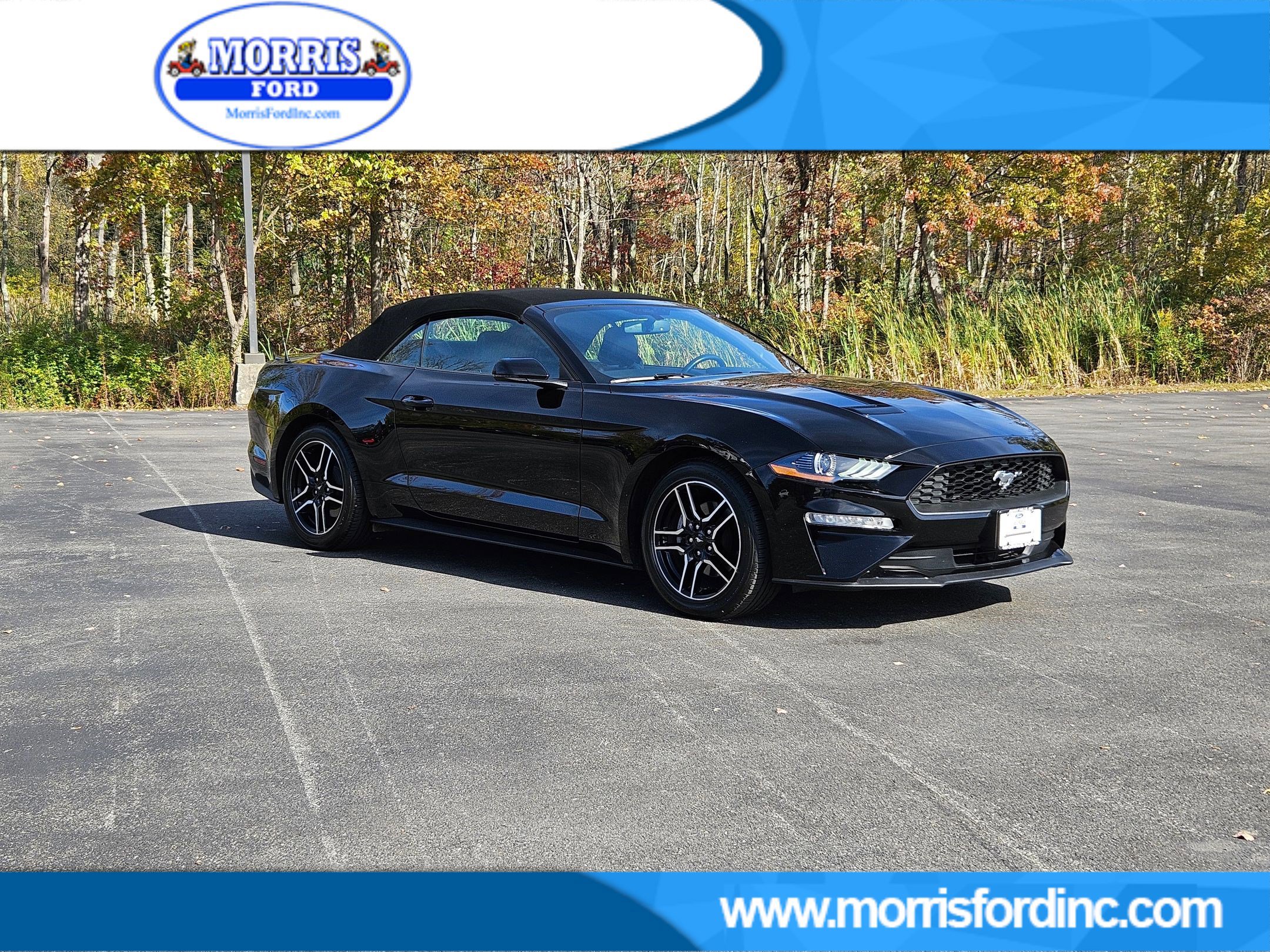 Certified 2019 Ford Mustang Premium
