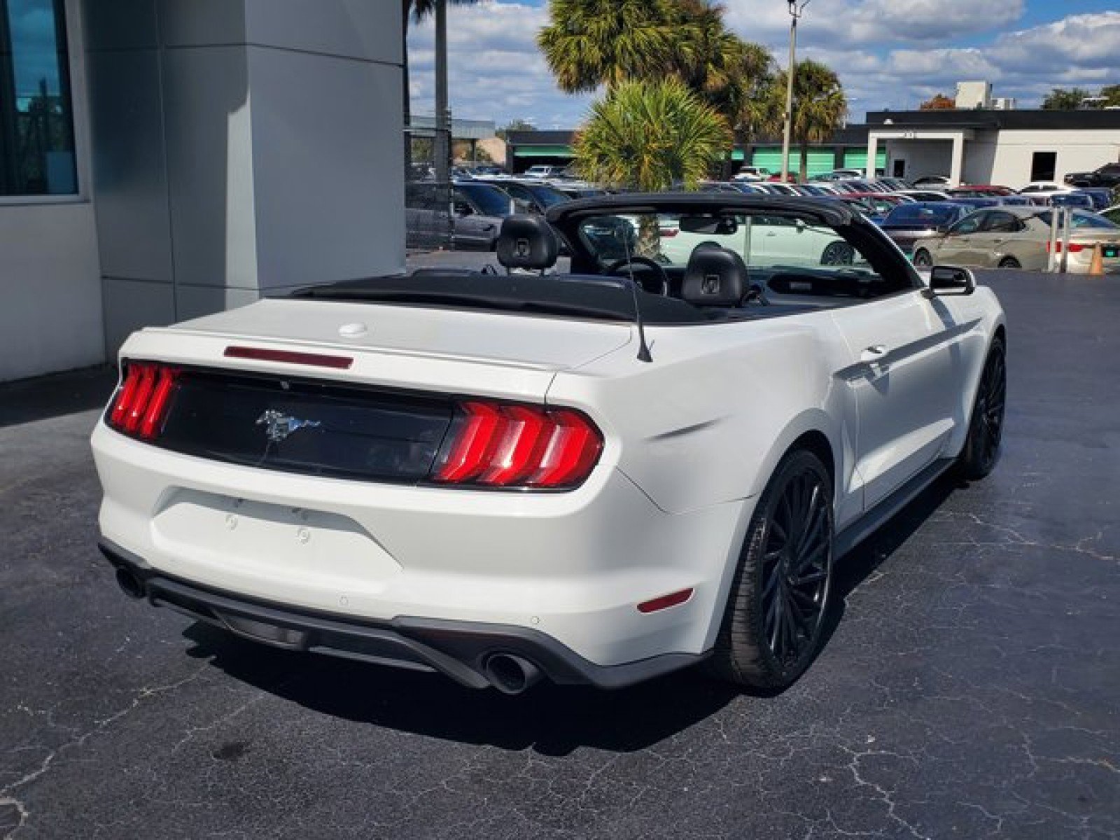 Certified 2019 Ford Mustang Premium image 7