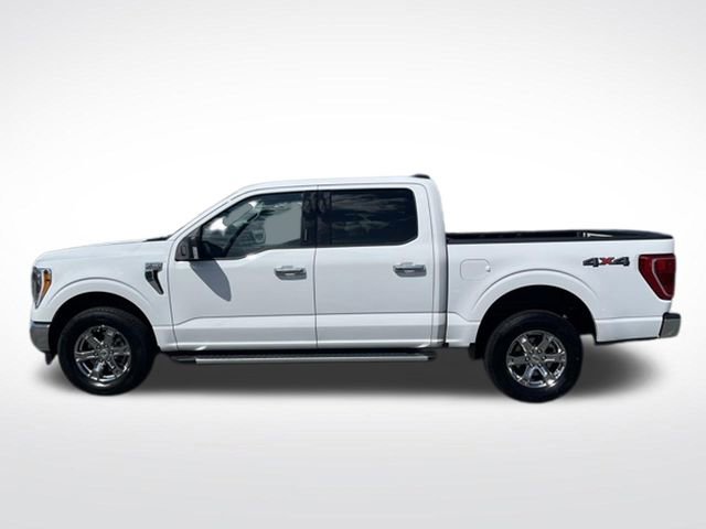 Certified 2023 Ford F150 XLT w/ Equipment Group 302A High AWD/4WD image 4