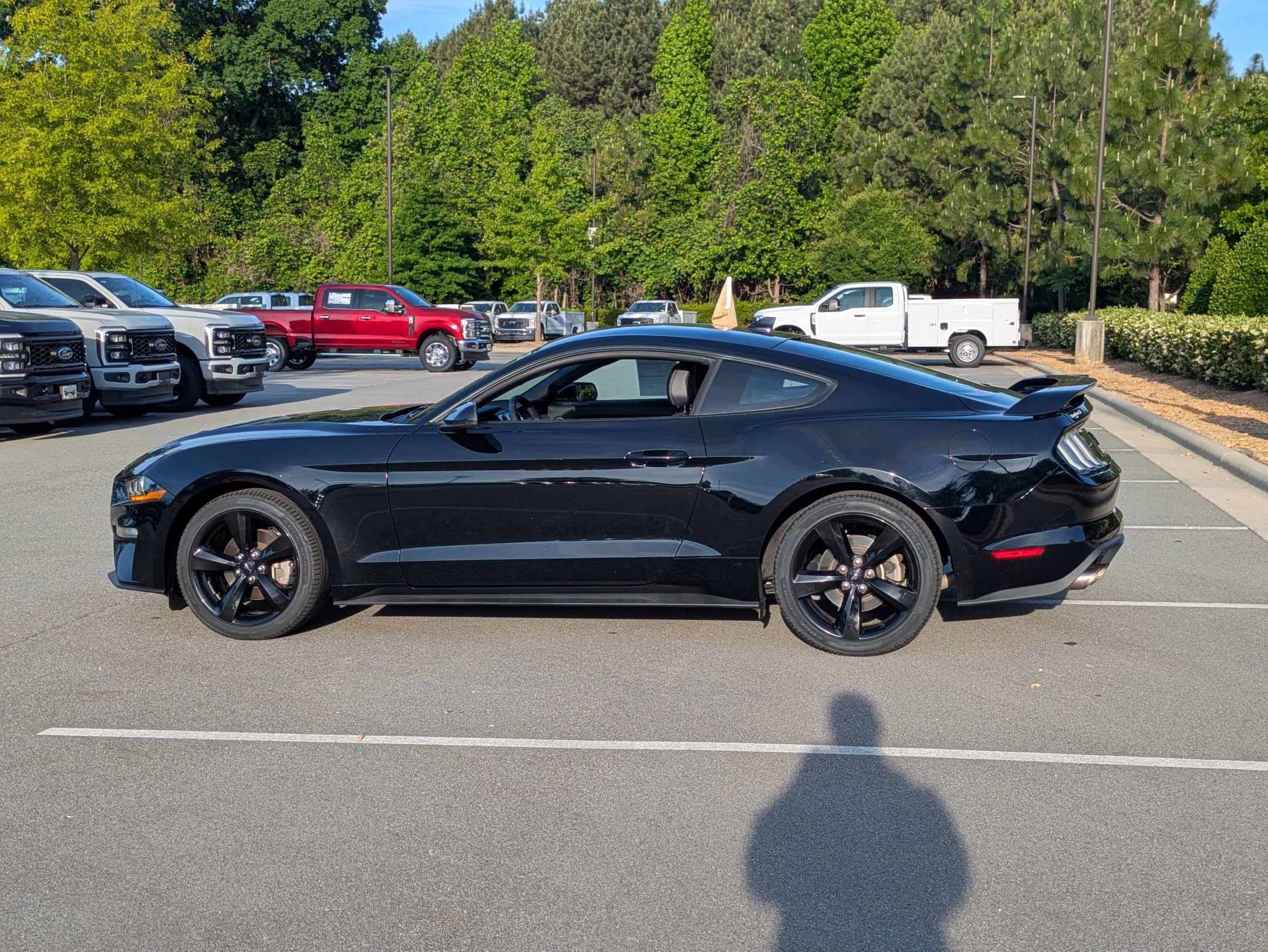 Certified 2023 Ford Mustang Premium w/ Equipment Group 201A RWD image 7