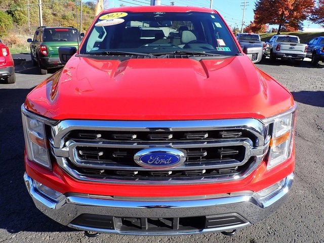 Certified 2022 Ford F150 XLT w/ Equipment Group 301A Mid image 8