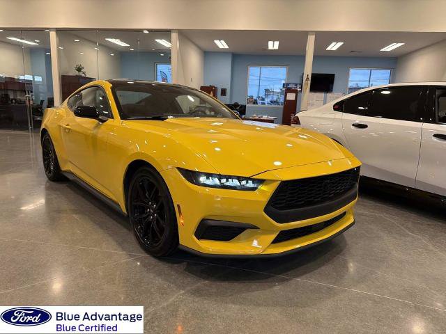 Certified 2024 Ford Mustang Coupe w/ Mustang Nite Pony Package