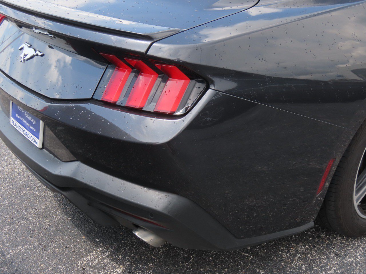 Certified 2024 Ford Mustang Premium RWD image 12