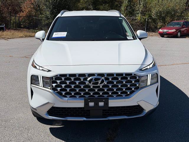 Used 2023 Hyundai Santa Fe Blue AWD/4WD image 5