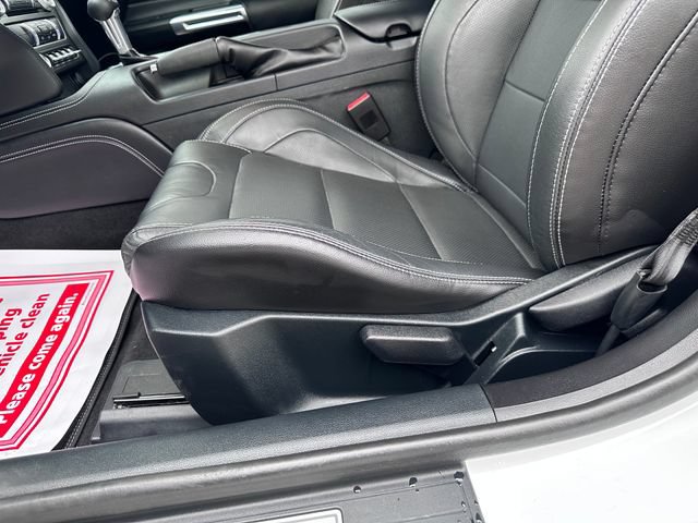 Certified 2023 Ford Mustang Premium w/ Equipment Group 201A RWD image 13