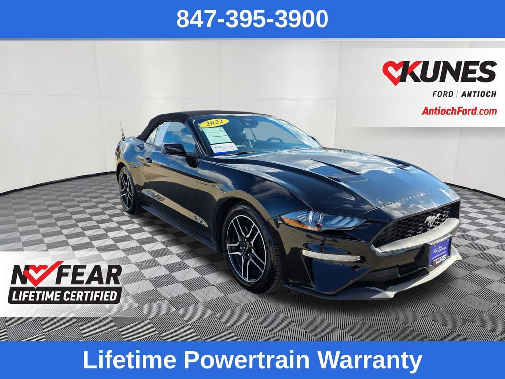 Certified 2022 Ford Mustang Premium image 14