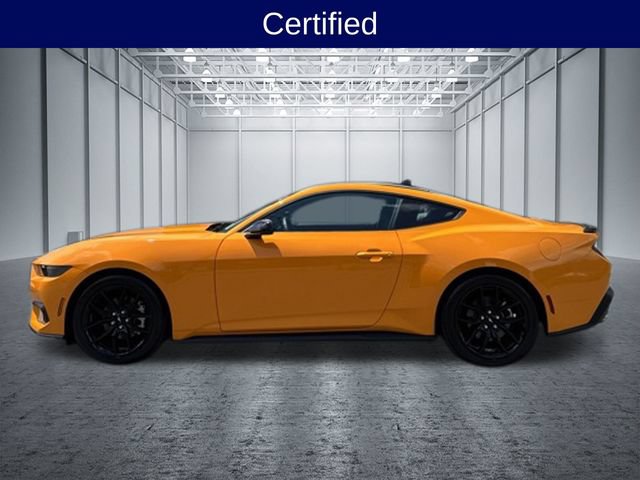 Certified 2026 Ford Mustang Coupe w/ Mustang Nite Pony Package RWD image 3