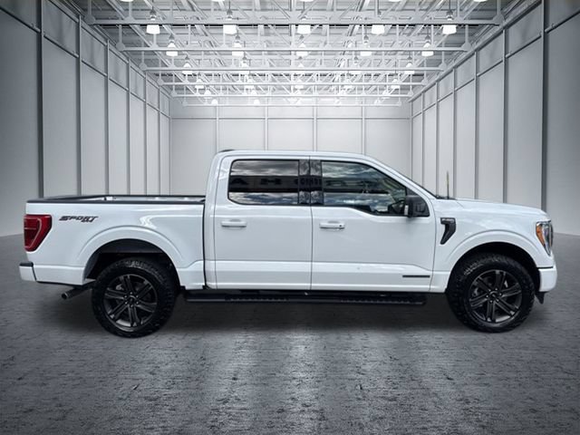 Certified 2023 Ford F150 XLT w/ Equipment Group 302A High AWD/4WD image 6