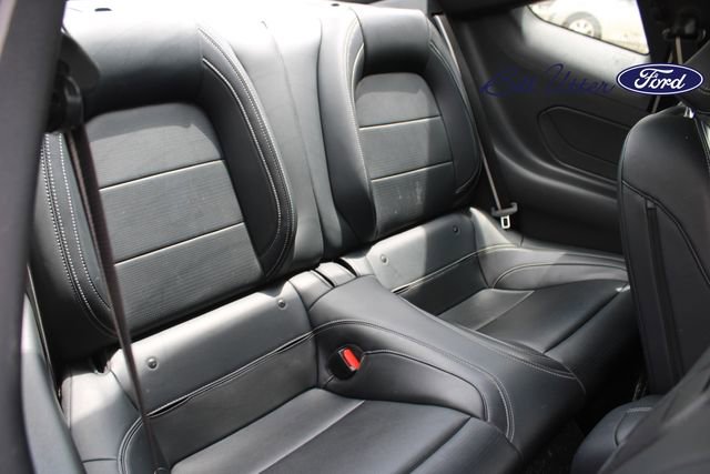 Certified 2024 Ford Mustang GT Premium RWD image 12