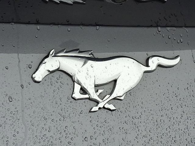 Certified 2024 Ford Mustang Premium image 30
