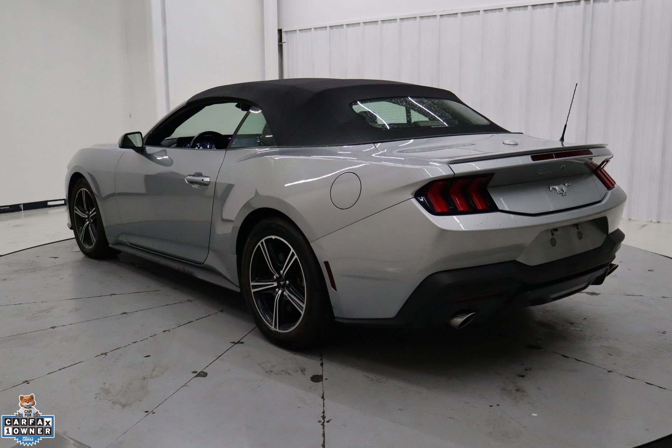 Certified 2024 Ford Mustang Premium image 3