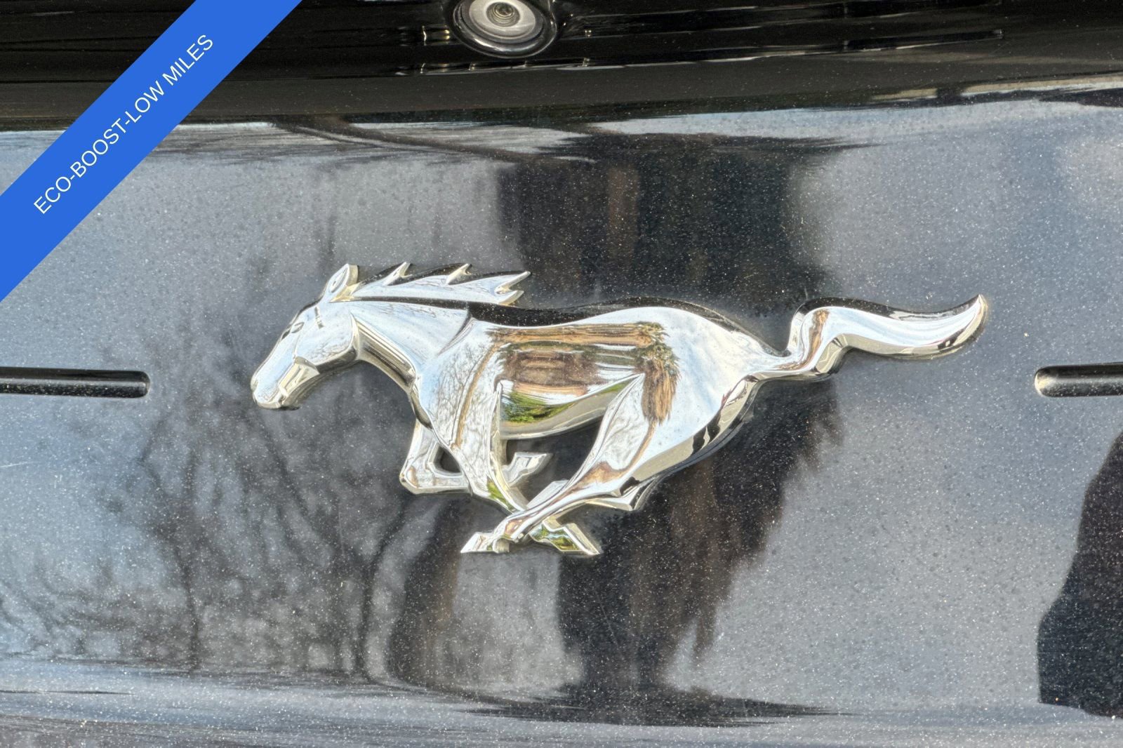 Certified 2019 Ford Mustang EcoBoost image 27
