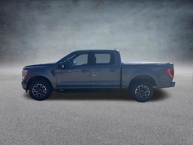 Certified 2023 Ford F150 XLT w/ Equipment Group 302A High AWD/4WD image 2
