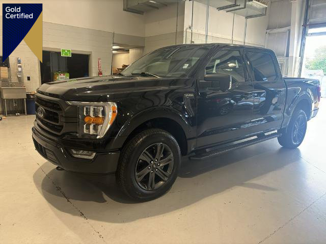 Certified 2023 Ford F150 XLT w/ Equipment Group 302A High image 1