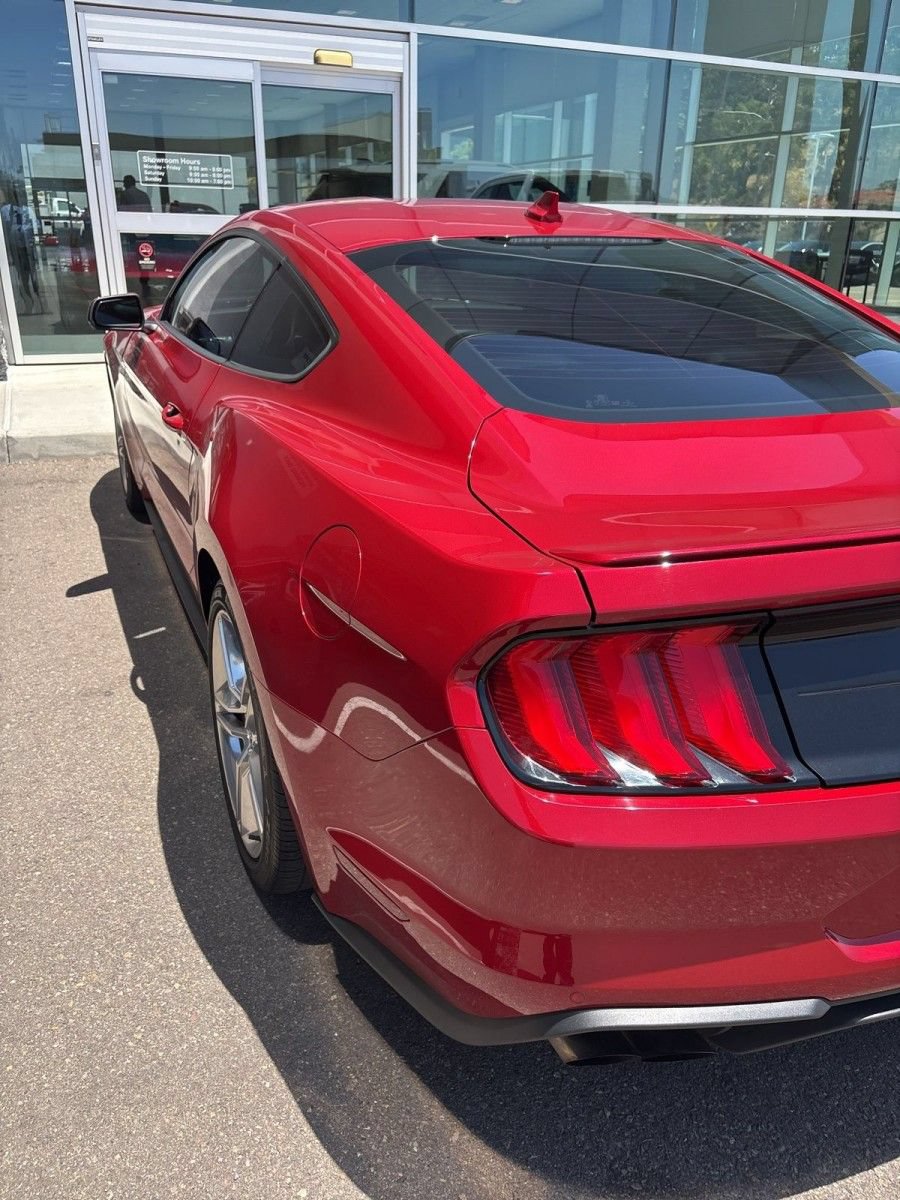 Certified 2021 Ford Mustang Premium w/ Equipment Group 201A RWD image 3