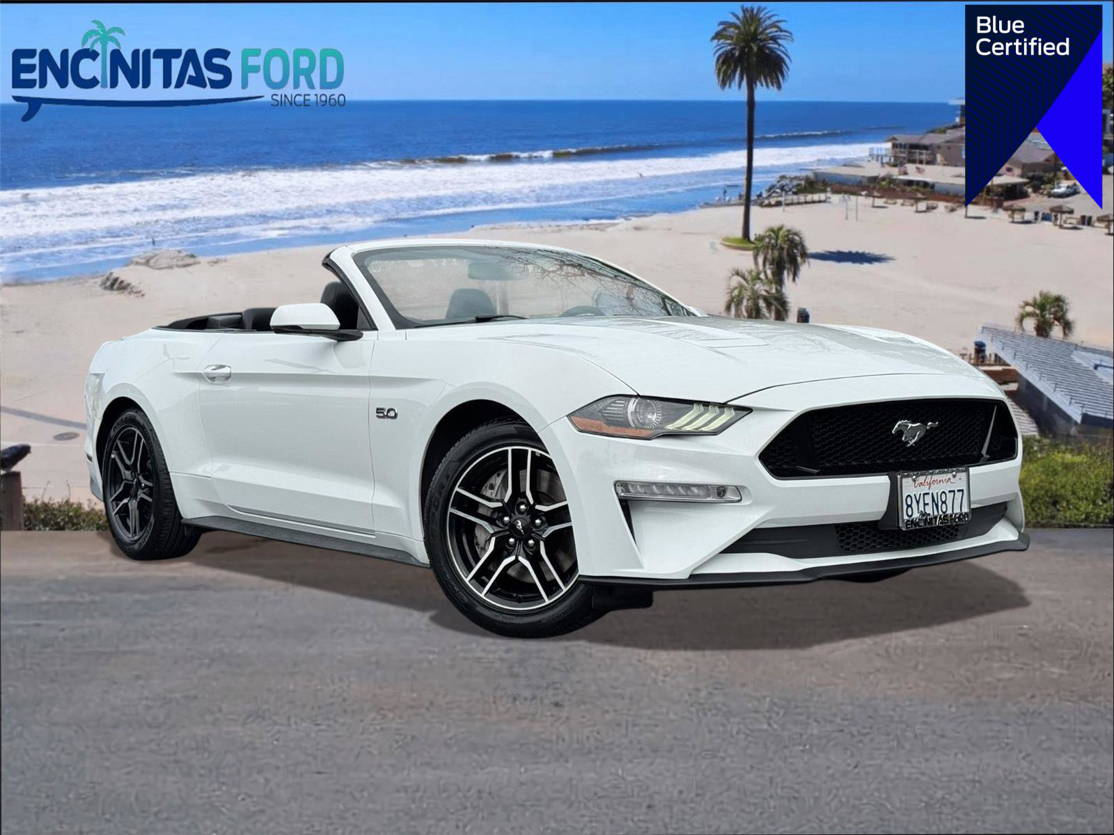 Certified 2019 Ford Mustang GT Premium image 1