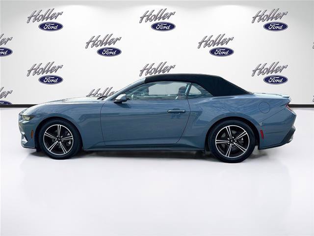 Certified 2024 Ford Mustang Premium RWD image 5
