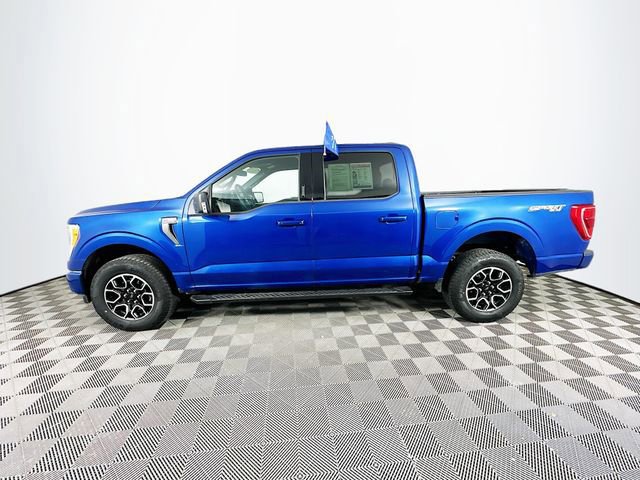 Certified 2023 Ford F150 XLT w/ Equipment Group 302A High image 2