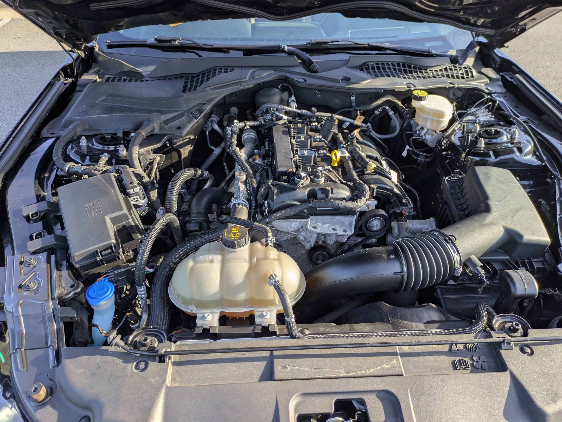 Certified 2023 Ford Mustang Premium w/ Equipment Group 201A RWD image 37
