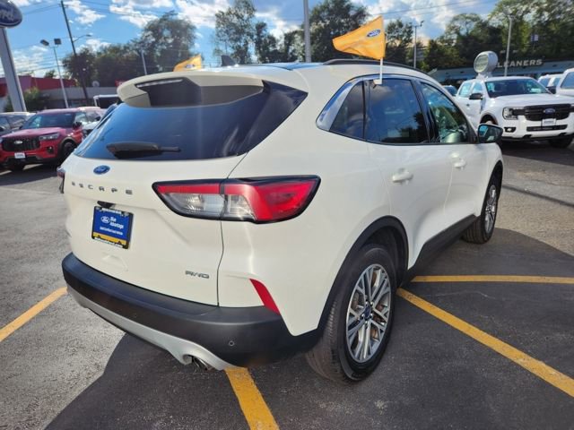 Certified 2022 Ford Escape SEL image 6