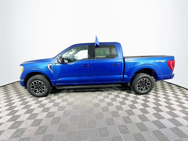 Certified 2023 Ford F150 XLT w/ Equipment Group 302A High image 7