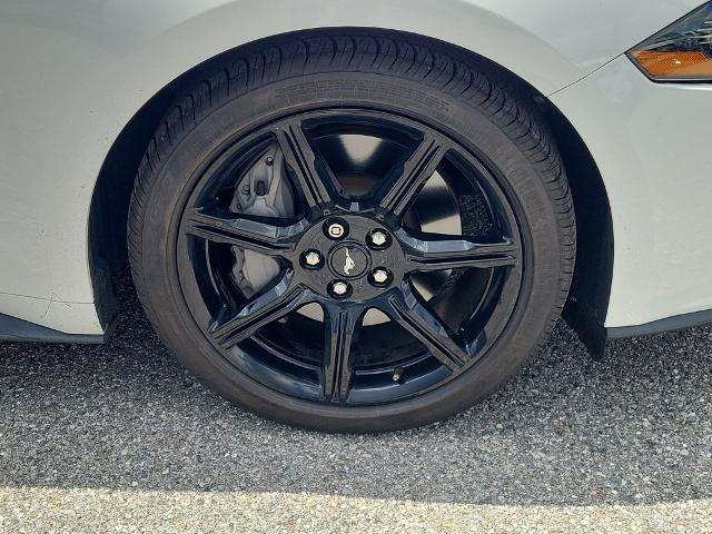 Certified 2019 Ford Mustang GT Premium w/ Black Accent Package RWD image 6
