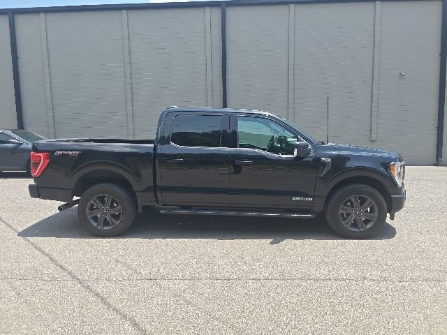 Certified 2023 Ford F150 XLT w/ Equipment Group 302A High AWD/4WD video 2