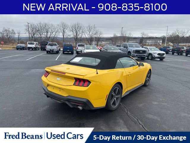 Certified 2024 Ford Mustang Premium image 8