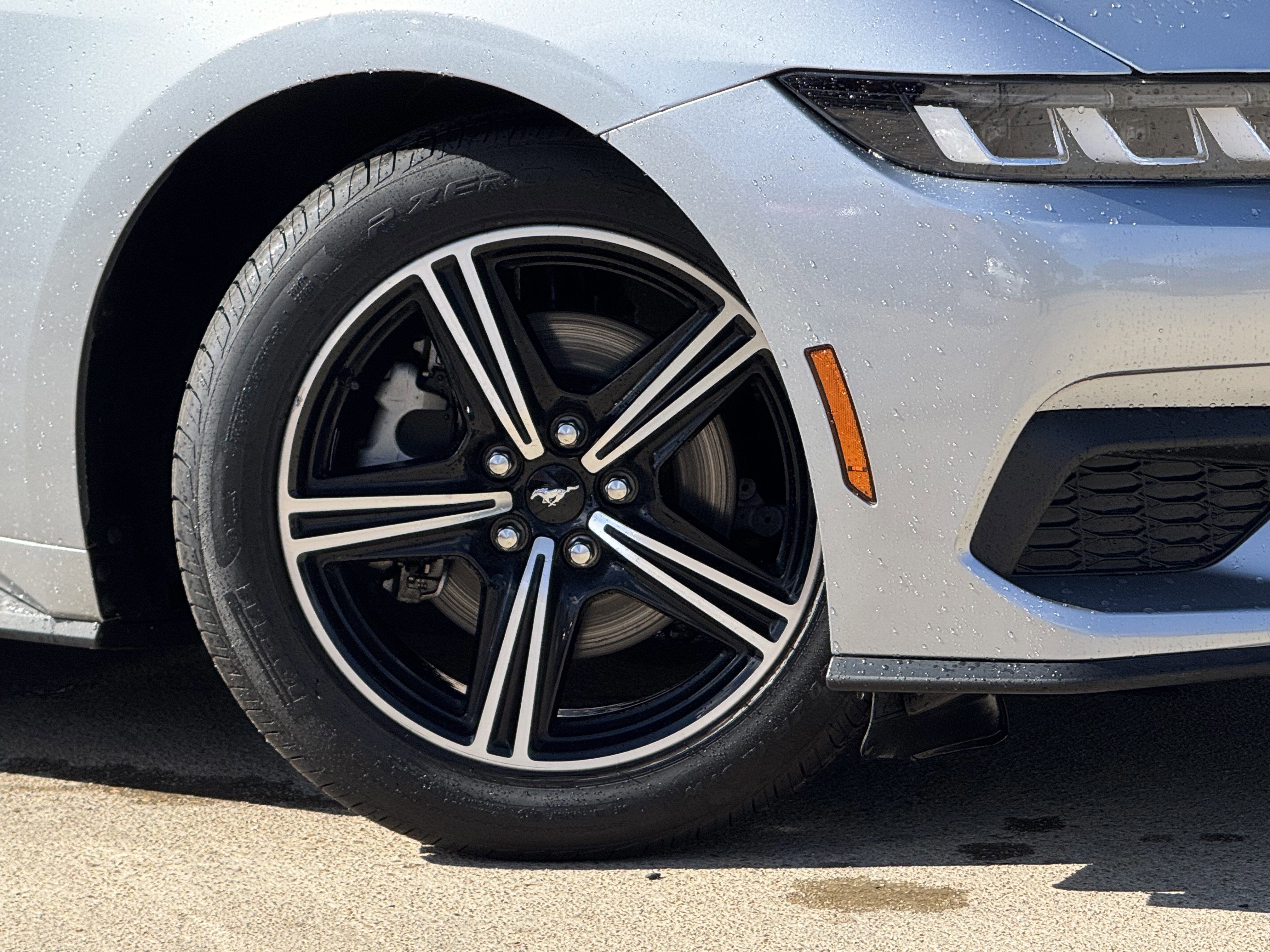 Certified 2024 Ford Mustang Premium image 9