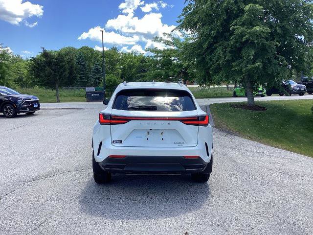 Used 2022 Lexus NX 250 AWD image 5